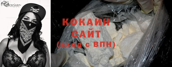 крисы Баксан