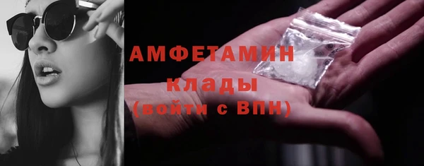 крисы Баксан