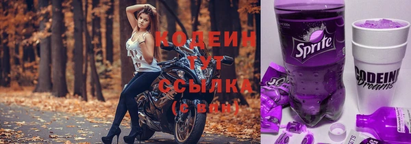 крисы Баксан