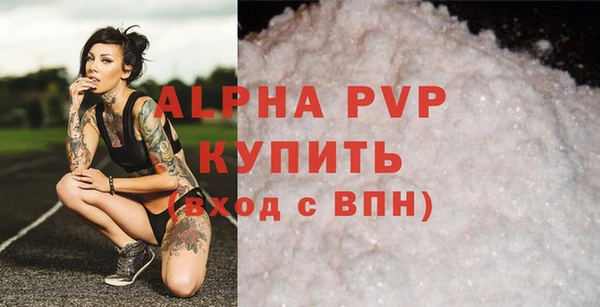 крисы Баксан