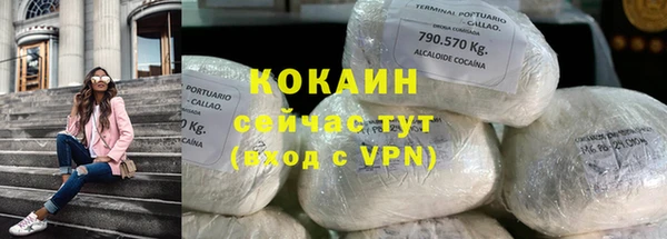 крисы Баксан