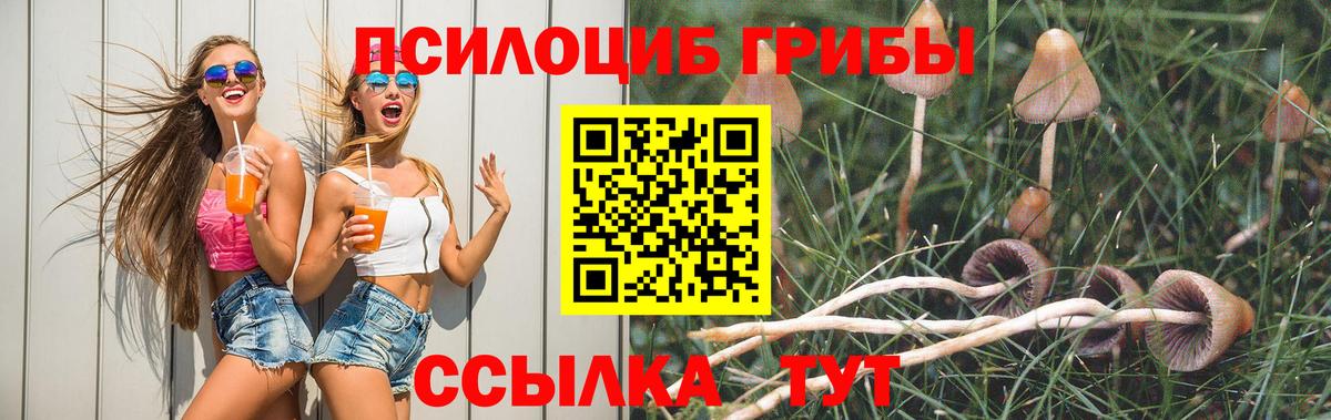 Alpha PVP Борисоглебск