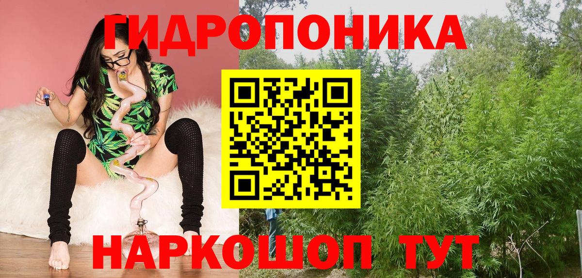Борисоглебск  Конопля тримм  Вход с VPN  Конопля MAZAR  Бошки марихуана VHQ  Канабис индика 